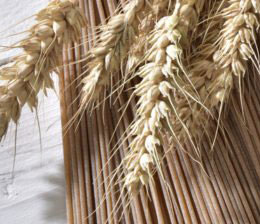 Pasta integrale
