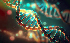epigenetica