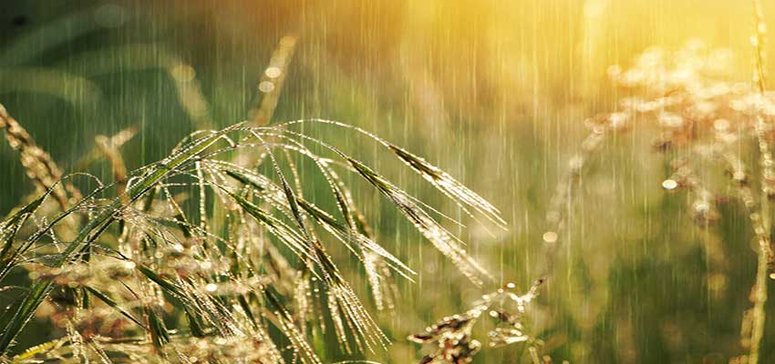 acqua pioggia