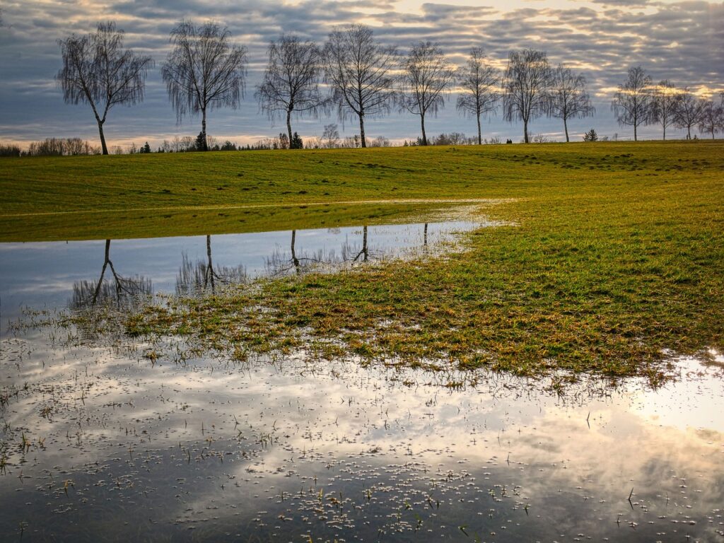 acqua piovana
