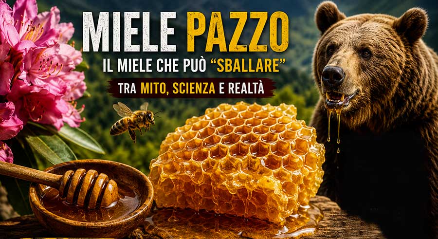 miele pazzo